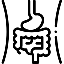 گوارش