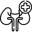 کلیه و پروستات